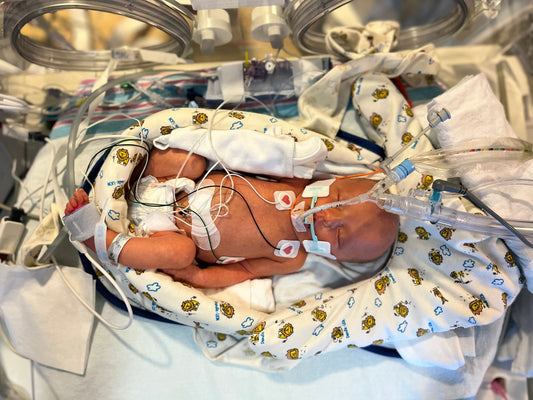 In The Thick of It and Beyond