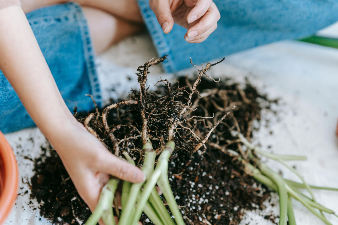 Growing Through Seasons