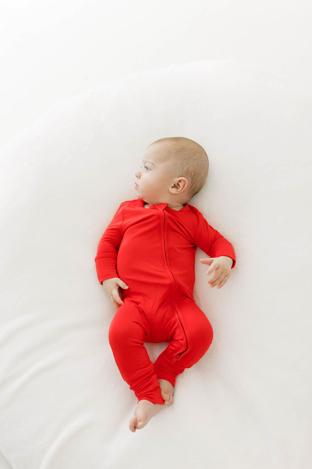 Classic Zip | Holly Red