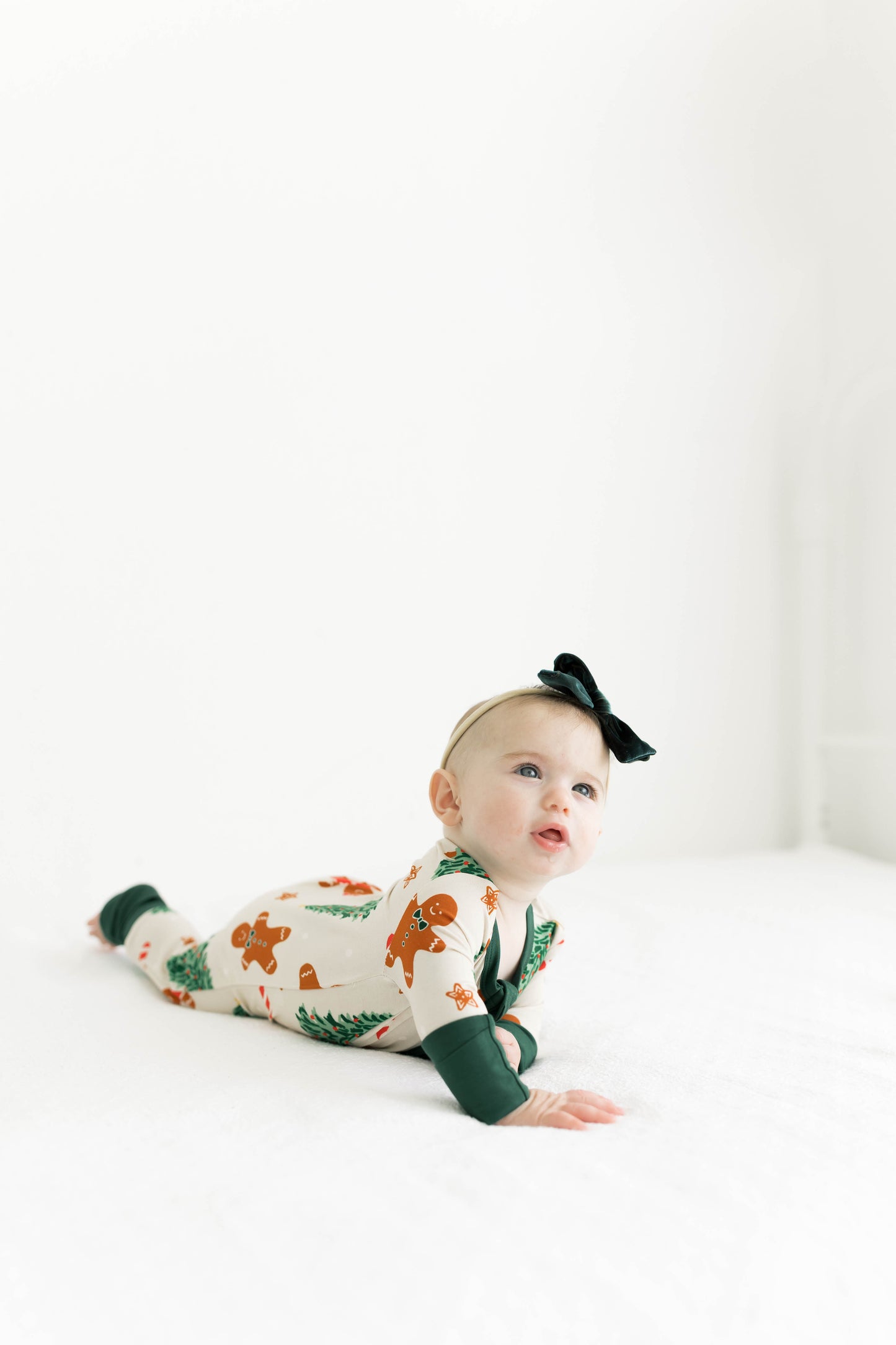 Classic Zip | Gingerbread Lane